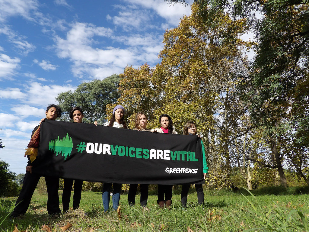 35154585230_03052ac26d_b